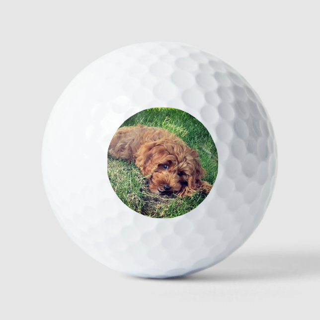 Golden Doodle With Text Golf Balls (Front)