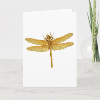 Golden Dragonfly Greeting Card
