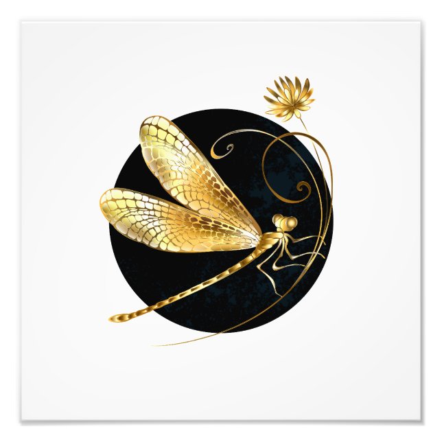 Golden dragonfly in black circle photo print (Front)