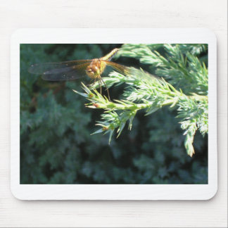 Golden Dragonfly Mouse Pad