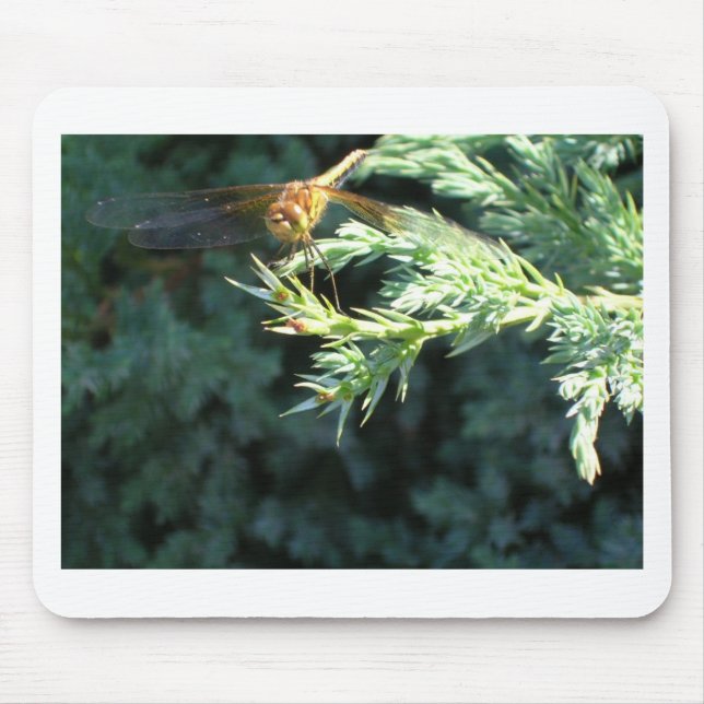 Golden Dragonfly Mouse Pad (Front)