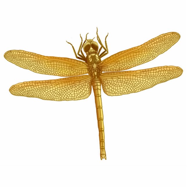 Golden Dragonfly Ornament (Front)