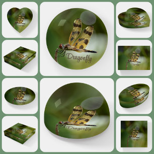 Golden Dragonfly Photographic Customizable Paperweight