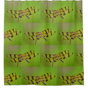 Golden Dragonfly Shower Curtain