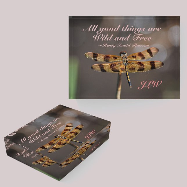 Golden Dragonfly Wild and Free Paperweight (Creator Uploaded)