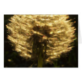 Golden Dreams Card (Front Horizontal)