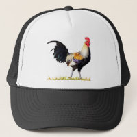 Golden Duckwing American Rooster