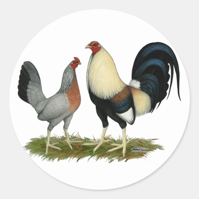 Golden Duckwing Chickens Classic Round Sticker (Front)