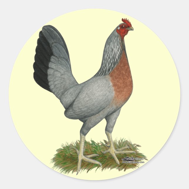 Golden Duckwing Hen Classic Round Sticker (Front)