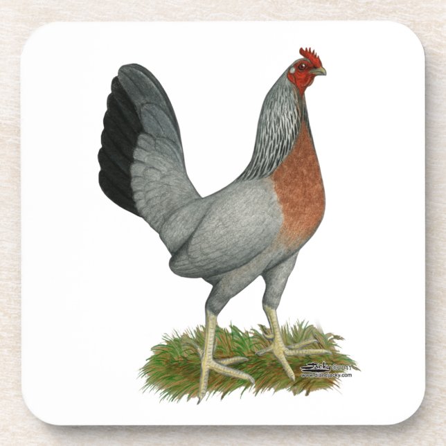 Golden Duckwing Hen Coaster (Front)