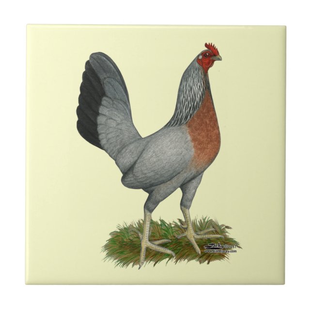 Golden Duckwing Hen Tile (Front)