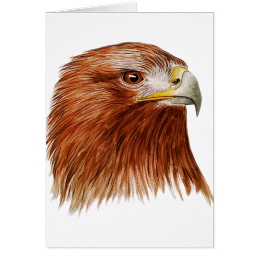 Golden Eagle 2011 (Front)