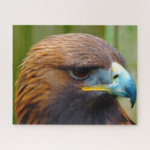 Golden Eagle Bird of Prey. Jigsaw Puzzle