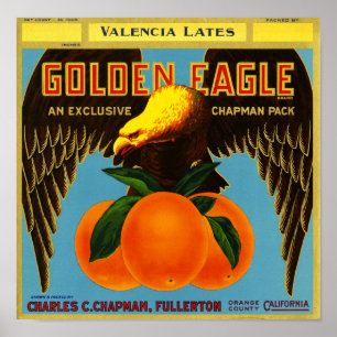 Golden Eagle Brand Orange Fruit Crate Label Poster