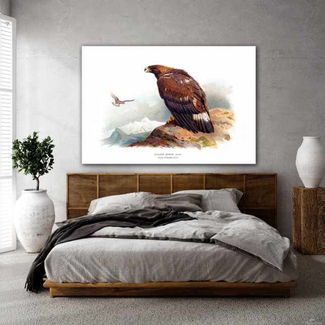 Golden Eagle Canvas Print (Creator Uploaded)