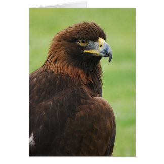 golden eagle cards