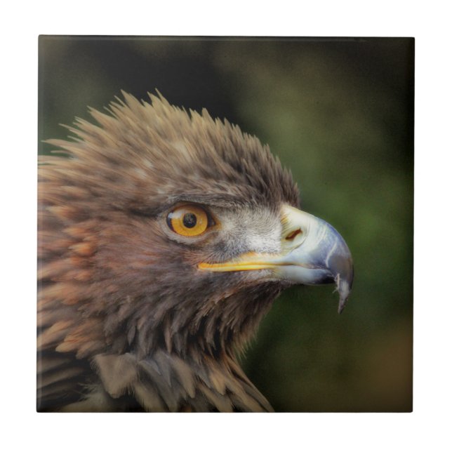 golden eagle ceramic tile (Front)