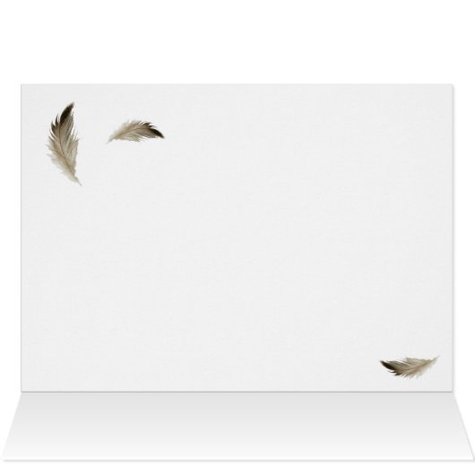 Golden Eagle closeup (Inside Horizontal (Top))