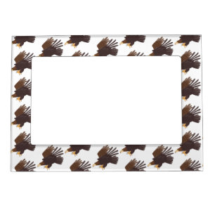 Golden eagle funny cartoon illustration magnetic frame