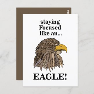 Golden Eagle Head Postcard