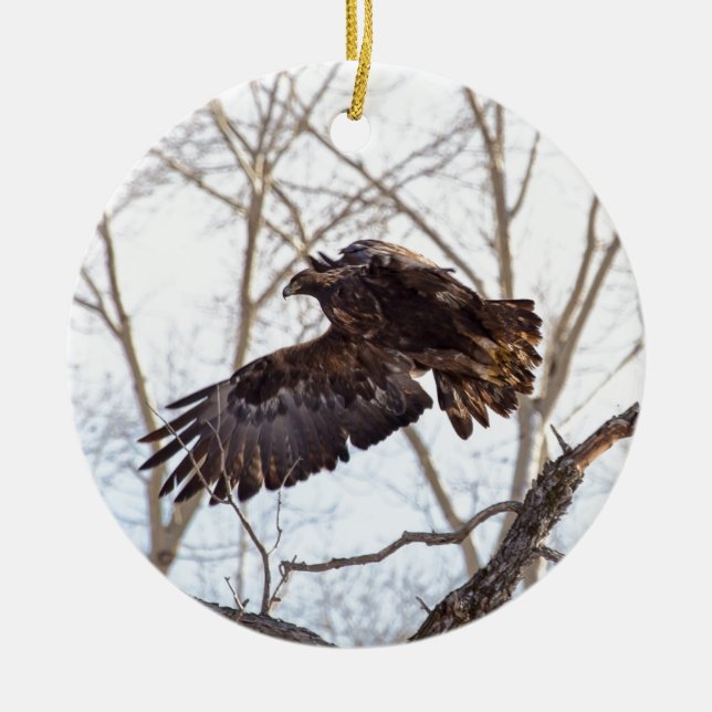 Golden Eagle in Flight Ceramic Ornament (Front)