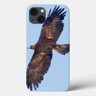 Golden Eagle in Flight iPad Case