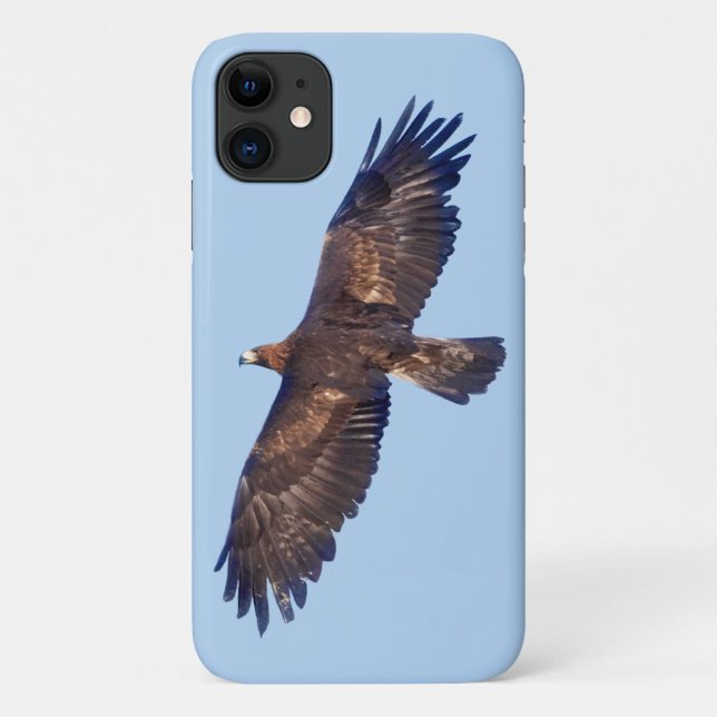 Golden Eagle in Flight iPhone 11 Case (Back)