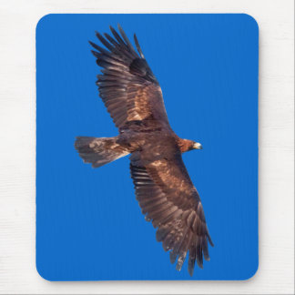 Golden Eagle in Flight Mousemat (Blue) Mouse Pad