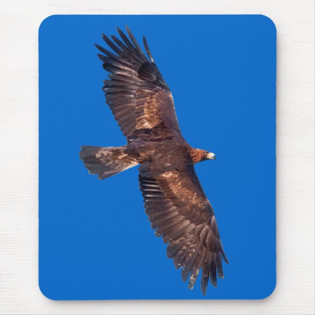 Golden Eagle in Flight Mousemat (Blue) Mouse Pad (Front)