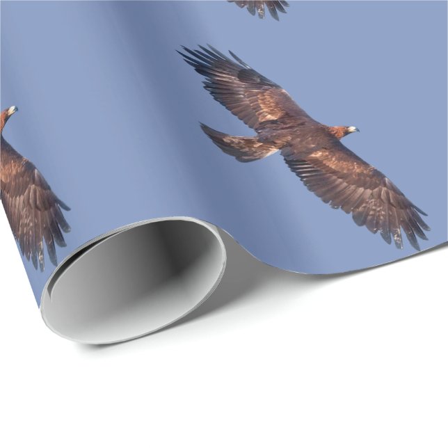 Golden Eagle in Flight Wrapping Paper (Roll Corner)