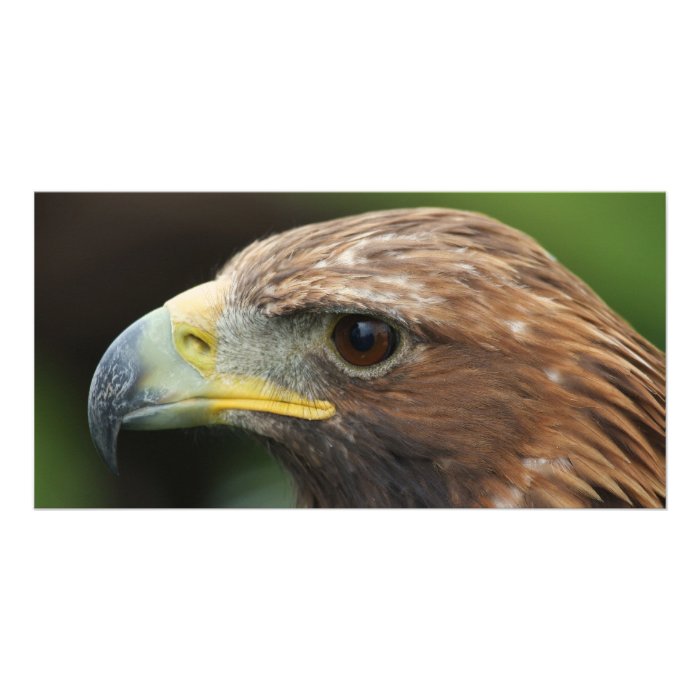 Golden Eagle Personalized Photo Card