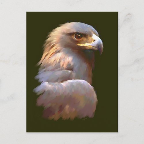 Golden Eagle Postcard