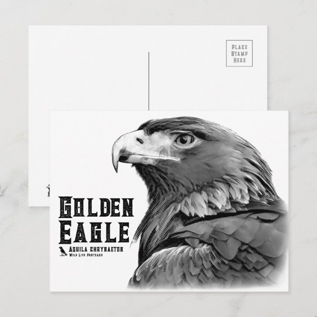 Golden Eagle Postcard (Front/Back)