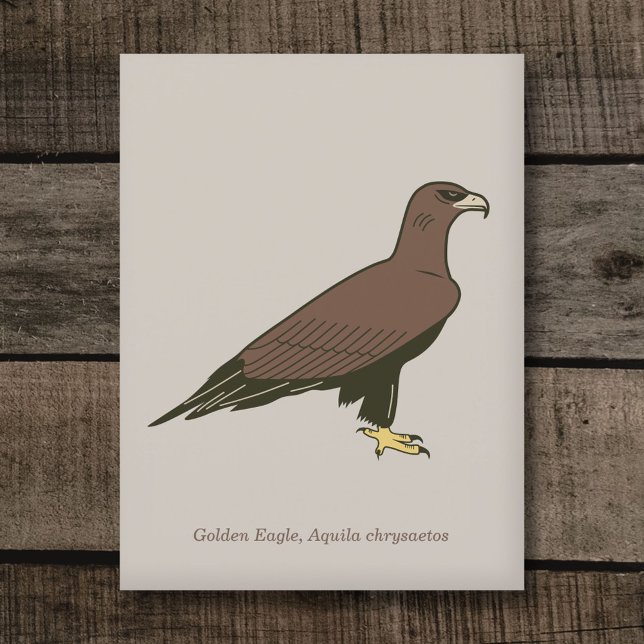 Golden Eagle  Postcard (Golden Eagle Postcard)