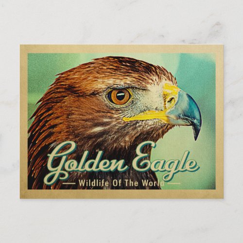 Golden Eagle Postcard _ Wildlife of the World Bird