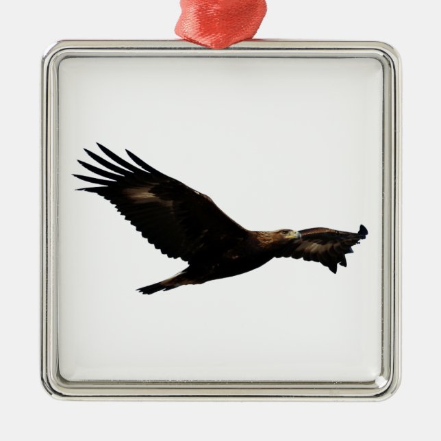 Golden Eagle Soaring Metal Ornament (Front)