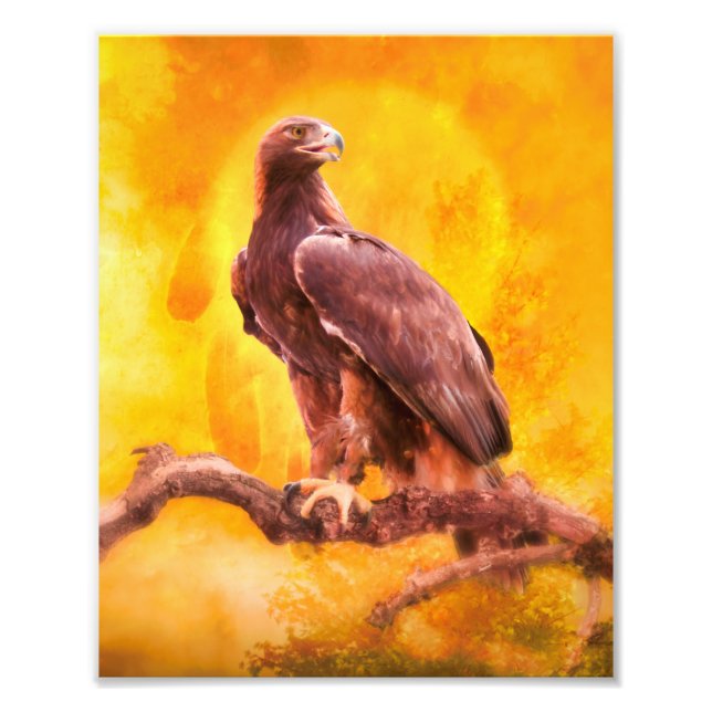 Golden Eagle THE GOLDEN ONE Photo Print (Front)