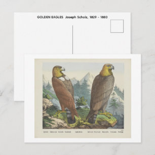 GOLDEN EAGLES Joseph Scholz, 1829 - 1880 Postcard