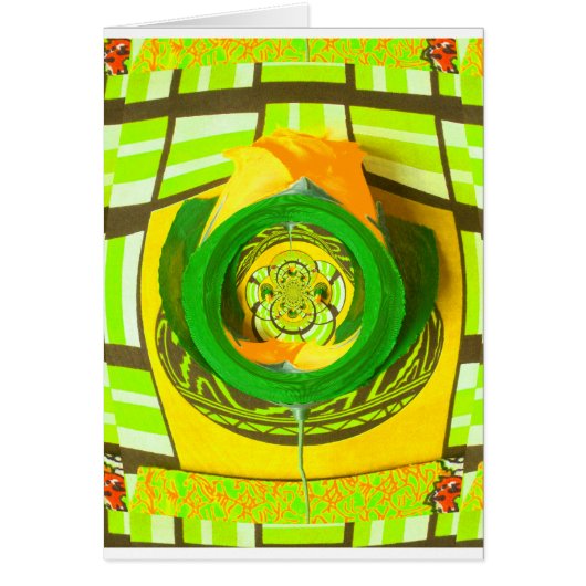 Golden Elegance: Beautiful African Yellow Rose   (Front)