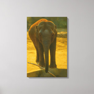 Golden Elephant Wisdom – Majestic Wildlife Canvas Print