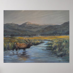 Golden Elk Poster