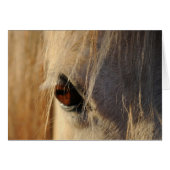 Golden Eye (Front Horizontal)