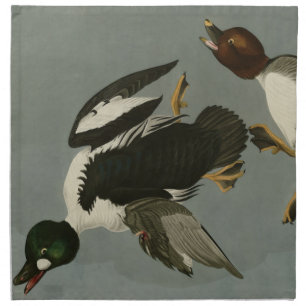 Golden-Eye Duck - from Audubon's Birds of America Cloth Napkin