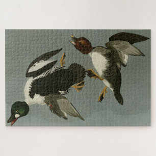 Golden-Eye Duck - from Audubon's Birds of America Jigsaw Puzzle