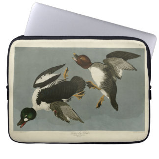 Golden-Eye Duck - from Audubon's Birds of America Laptop Sleeve