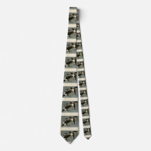 Golden-Eye Duck - from Audubon's Birds of America Neck Tie (Front)