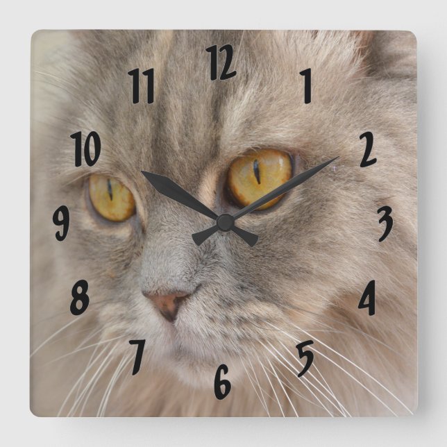 Golden Eye Grey Persian Cat Square Wall Clock (Front)