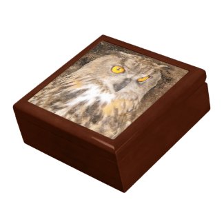 Golden Eye Owl Gift Box