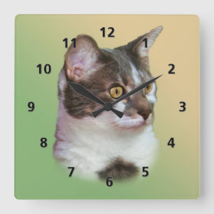 Golden-eyed Cat Square Wall Clock