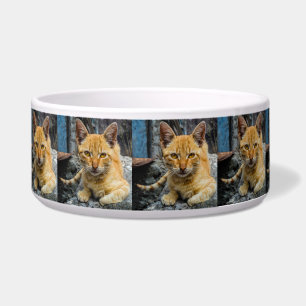 Golden Eyes Bowl